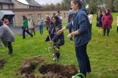 906beebb-efa6-4389-ae2b-13231510328a