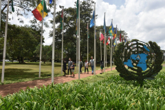 karibuni_walk