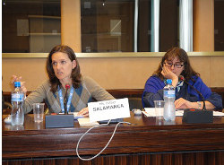 Working for UN declaration over right to development