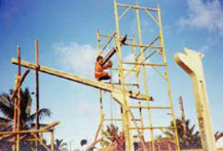 Status Consultivo Generale a New Humanity