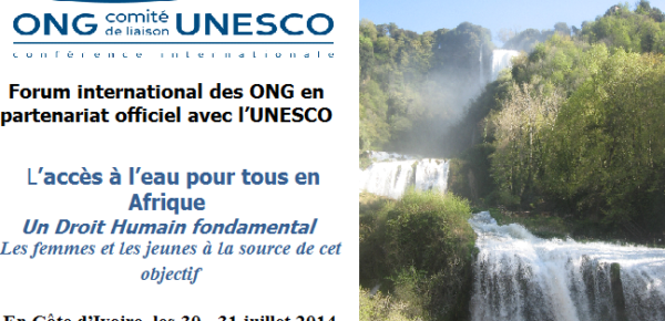 Forum ONG africane su accesso allacqua